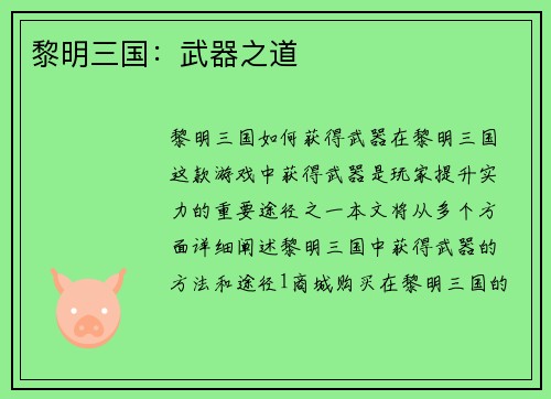 黎明三国：武器之道